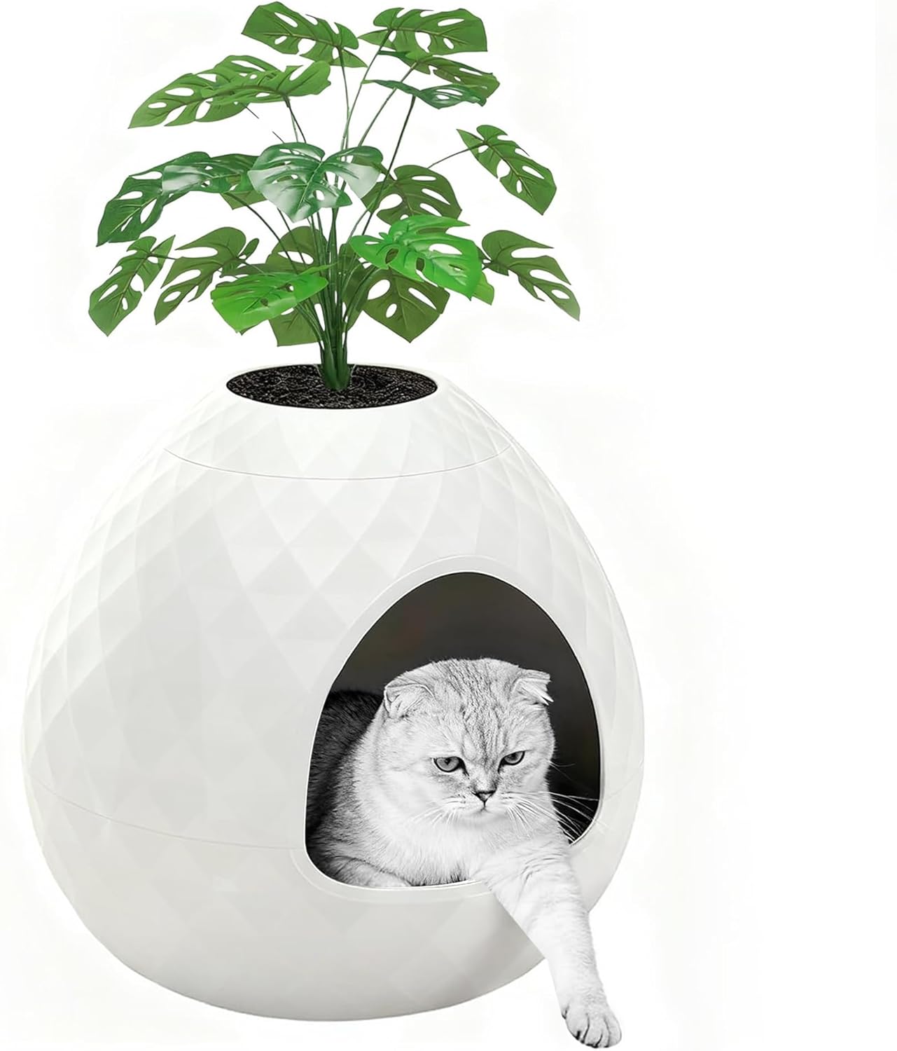 Installing KFY Cat Litter Box Enclosure Resin Furniture Hidden Planter on a wooden floor